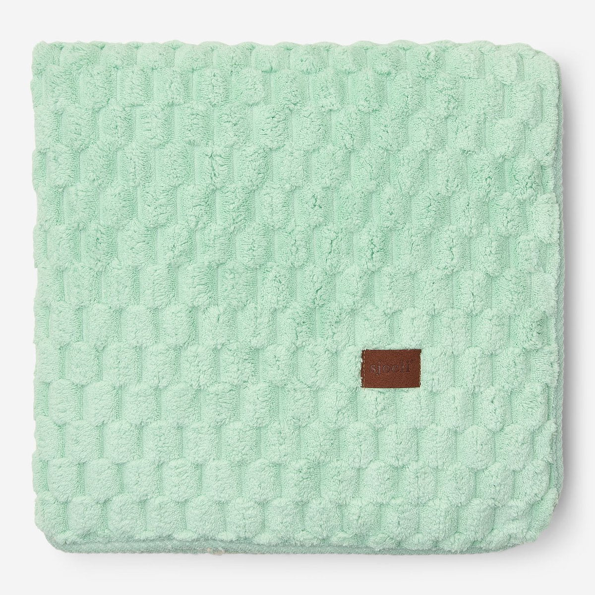 Coral Fleece - Minty Green